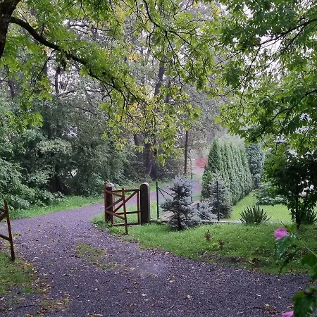Bed & Breakfast Aster Panzio Cimpu Cetatii