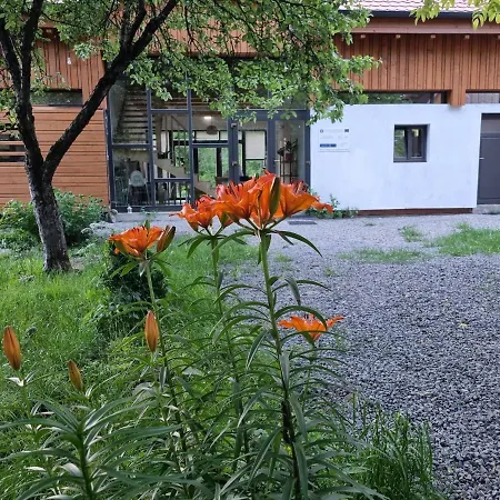 Bed & Breakfast Aster Panzio