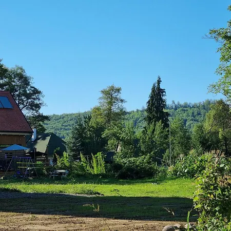 Bed & Breakfast Aster Panzio Cimpu Cetatii