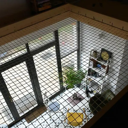 Bed & Breakfast Aster Panzio *
